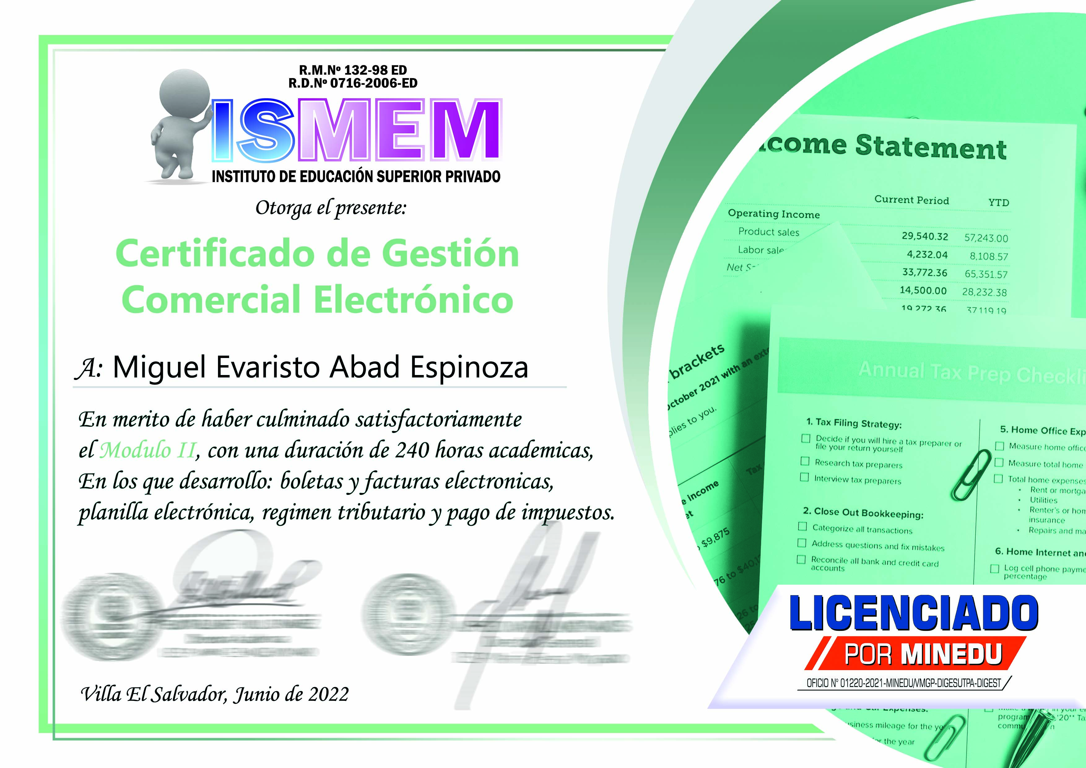 gestion de comercio electronico